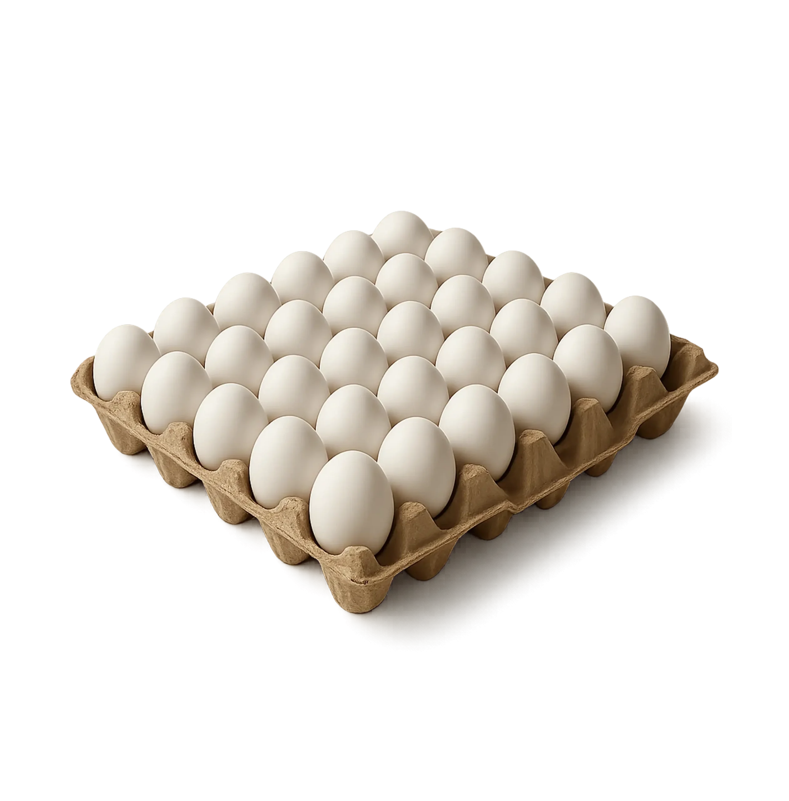 CHICKEN_EGGS_30